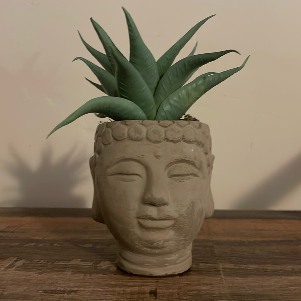 Concrete Buddha head artificial plant